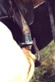 Horse Saftey is important to riders of Breakaway stirrups by STI